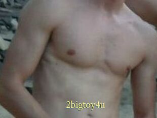 2bigtoy4u