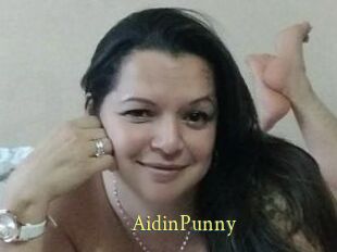 AidinPunny