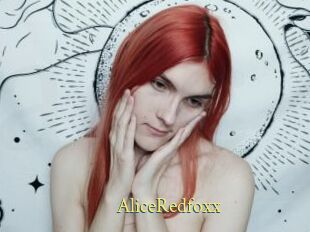 AliceRedfoxx