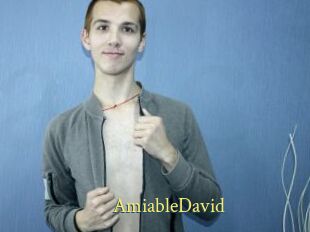 AmiableDavid