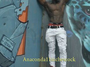 Anaconda11inchescock