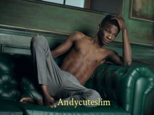 Andycuteslim