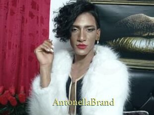 AntonellaBrand