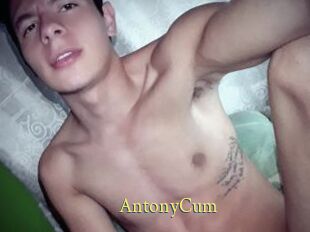 AntonyCum