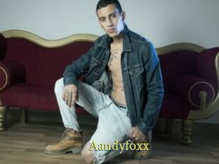 Aandyfoxx