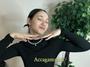 Accagammell