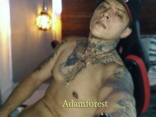 Adamforest