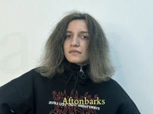 Aftonbarks