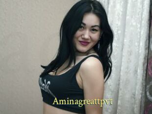 Aminagreattpvt
