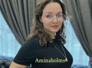 Aminaholms