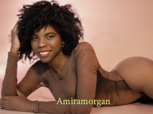 Amiramorgan