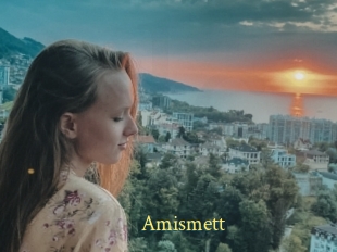 Amismett