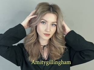 Amitygillingham