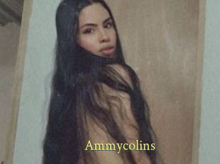 Ammycolins