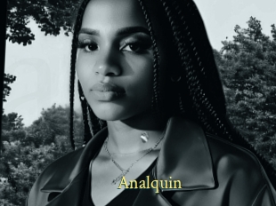 Analquin
