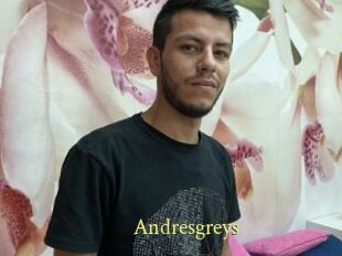 Andresgreys