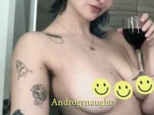 Androgynaughty
