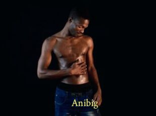 Anibig