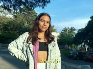 Aniefelix