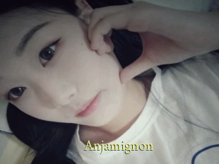 Anjamignon