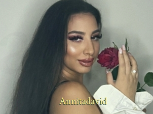 Annitadavid
