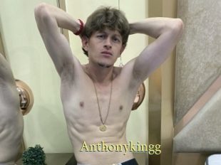 anthonykingg Anus Dilatés