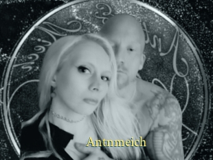Antnmeich