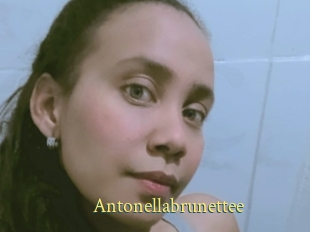 Antonellabrunettee