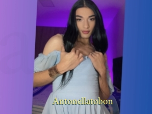 Antonellatobon