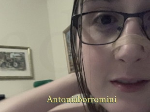 Antoniaborromini