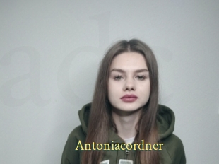 Antoniacordner