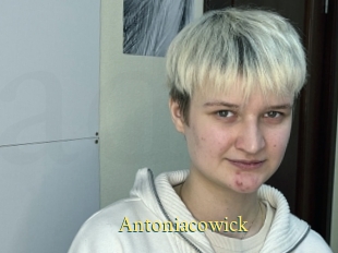 Antoniacowick
