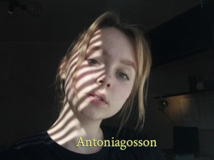Antoniagosson