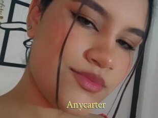 Anycarter