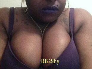 BB2Shy