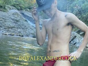 BOYALEXANDERCOCK