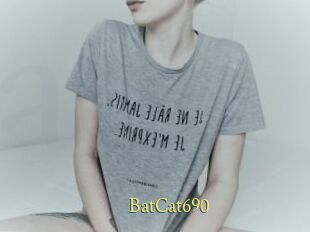 BatCat690
