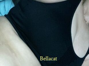 Bella_cat