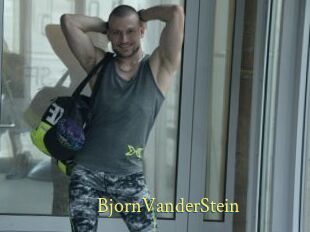 BjornVanderStein