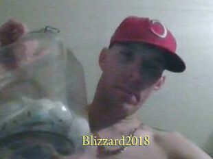 Blizzard2018