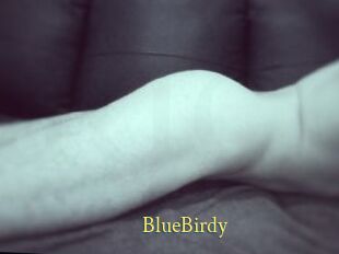 BlueBirdy