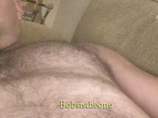 Bobsistheone