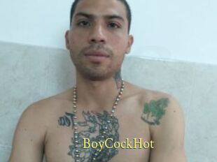 BoyCockHot