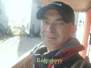 Badpuppyy