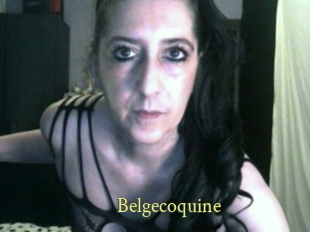 Belgecoquine