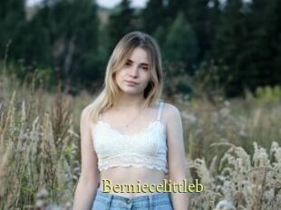 Berniecelittleb