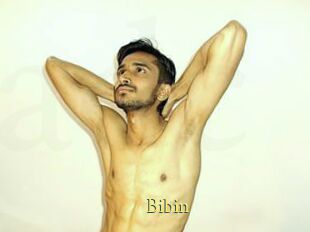 Bibin