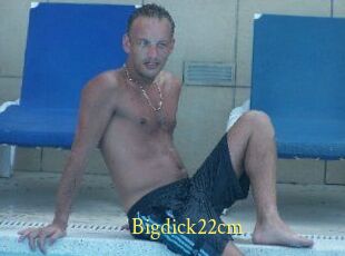 Bigdick22cm