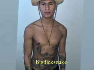 Bigdicksnake