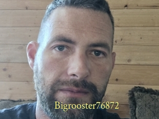 Bigrooster76872